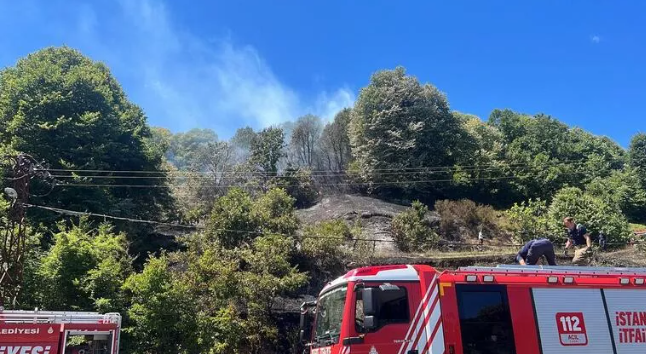 Beykoz’da ormanlık alanda korkutan yangın