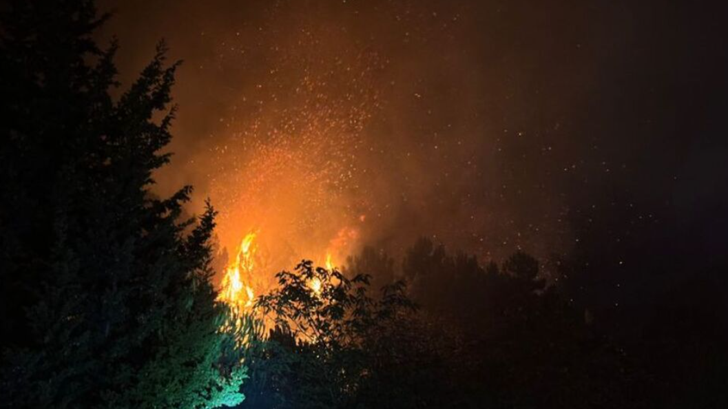 Beykoz’da orman yangını: 5 dönüm alanda etkili oldu